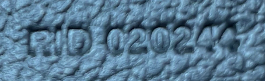 Saint Louis Tote Coated Canvas PM - Deep Luxury