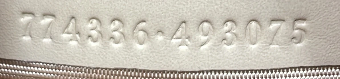 Ophidia Zip Hobo Print GG Coated Canvas Mini - Deep Luxury