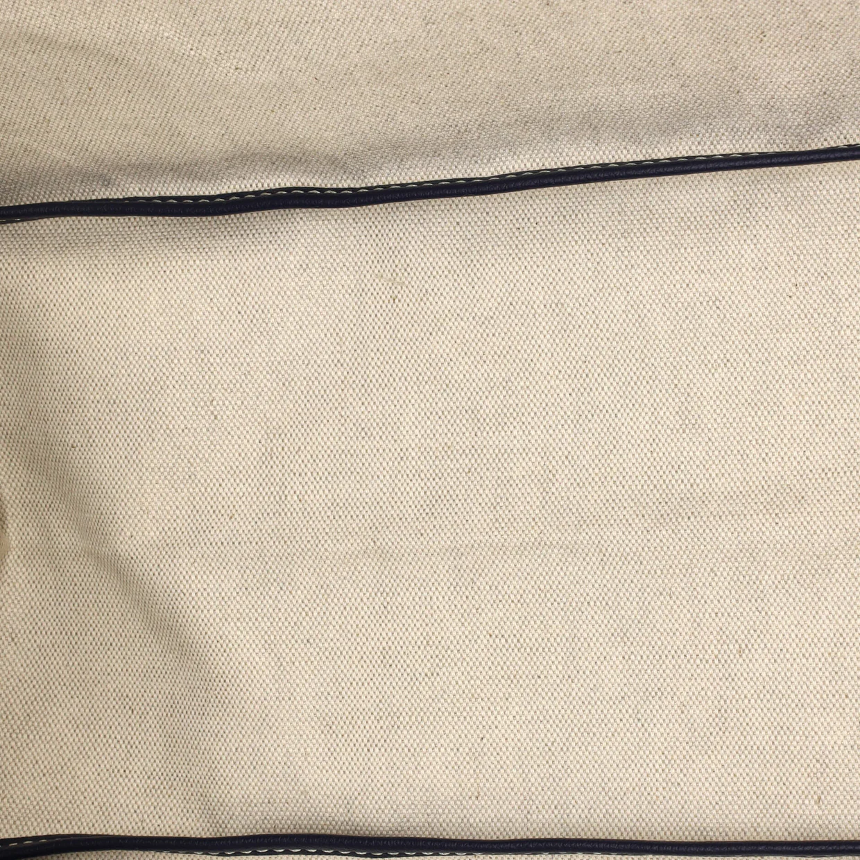 Saint Louis Tote Coated Canvas PM - Deep Luxury