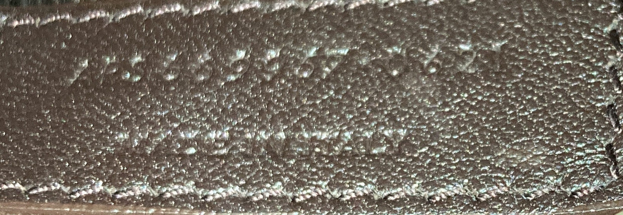 Le Monogramme Camera Bag Monogram All Over Coated Canvas and Leather Small - Deep Luxury