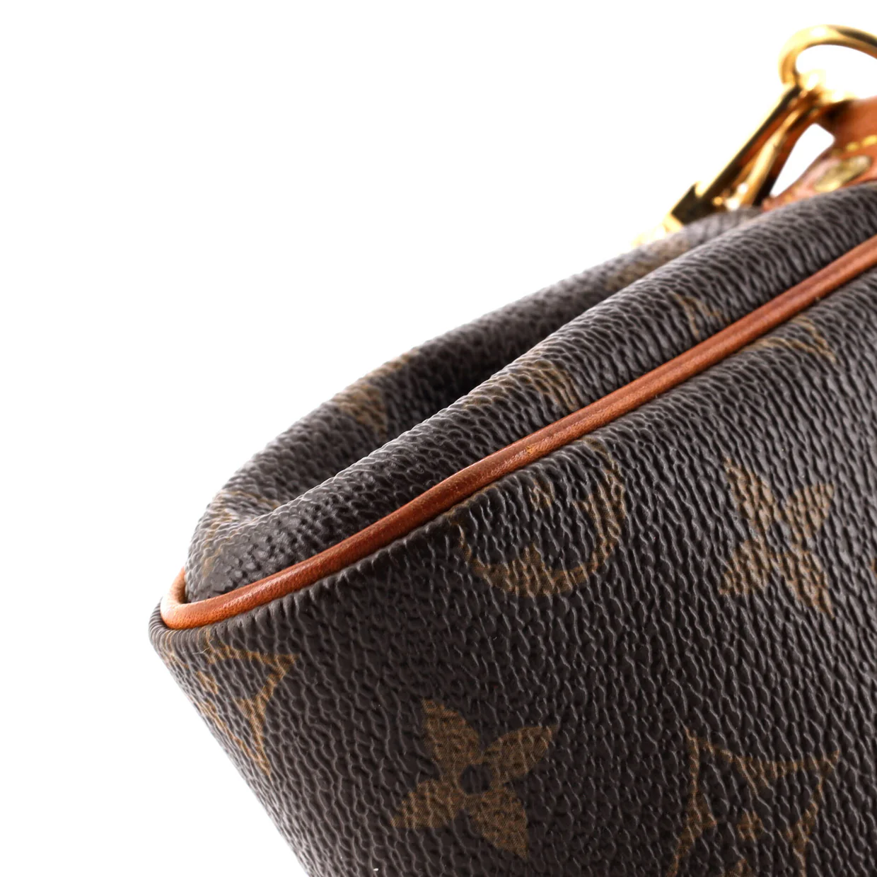 Eva Handbag Monogram Canvas - Deep Luxury