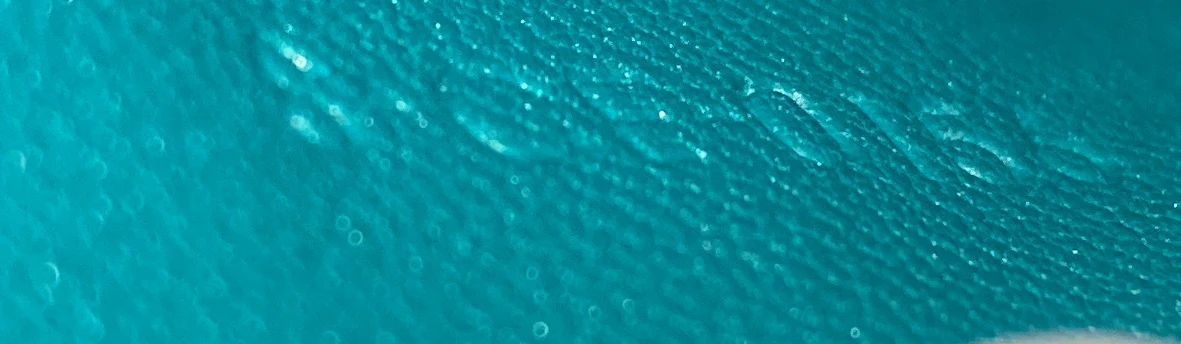 Classic Box Bag Grainy Leather Medium - Deep Luxury