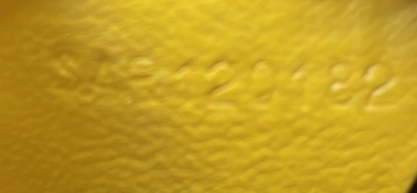 Senat Zip Pouch Coated Canvas MM - Deep Luxury