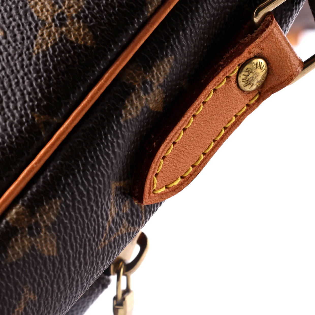 Amazone Bag Monogram Canvas - Deep Luxury