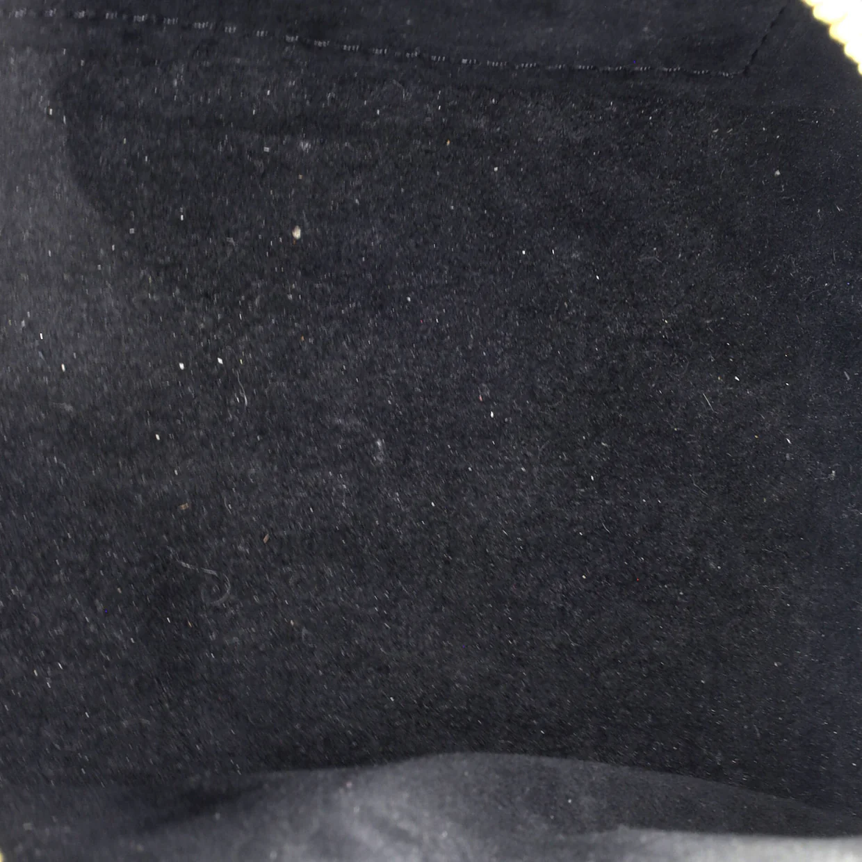 Speedy Bandouliere Bag Monogram Empreinte Giant 20 - Deep Luxury