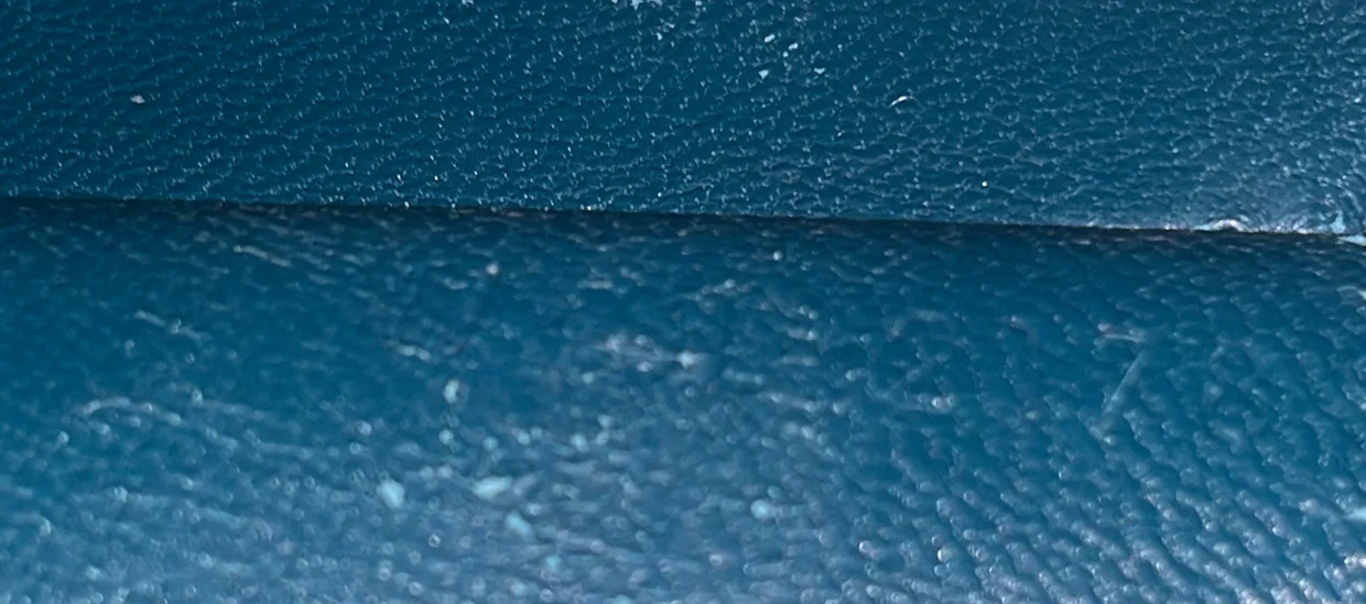 Clasp Crossbody Bag Lizard Mini - Deep Luxury