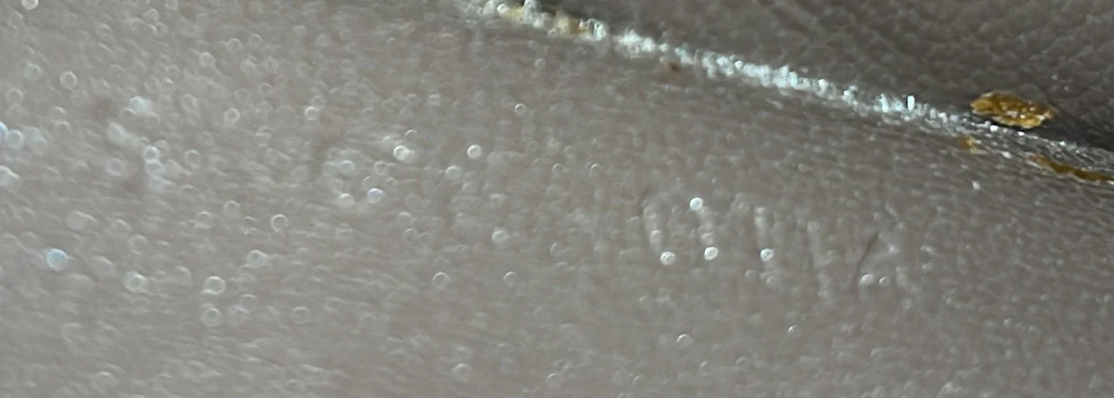 Classic Box Bag Lizard Medium - Deep Luxury