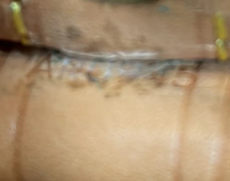 Noe Handbag Monogram Canvas Large - Deep Luxury