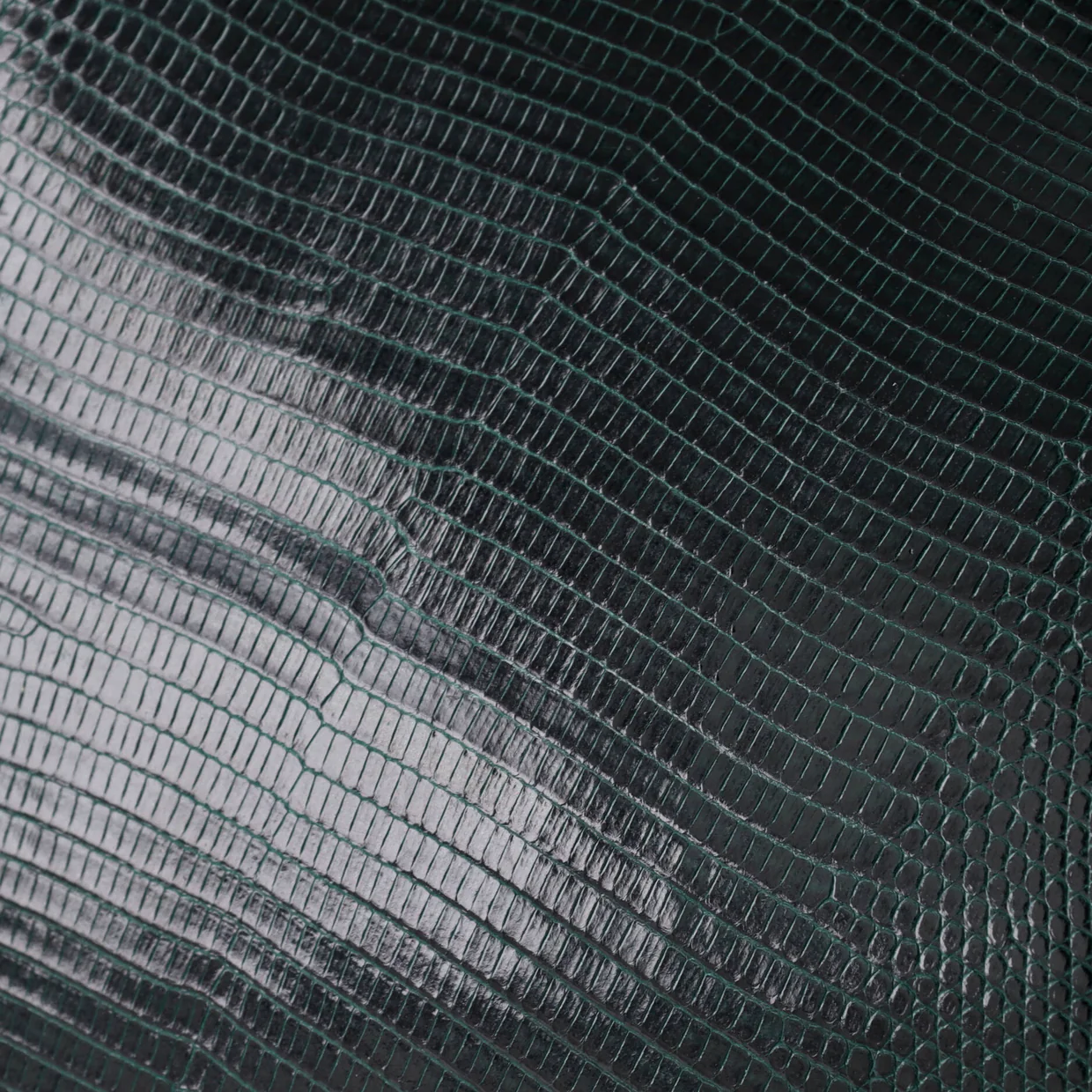 Clasp Crossbody Bag Lizard Mini - Deep Luxury