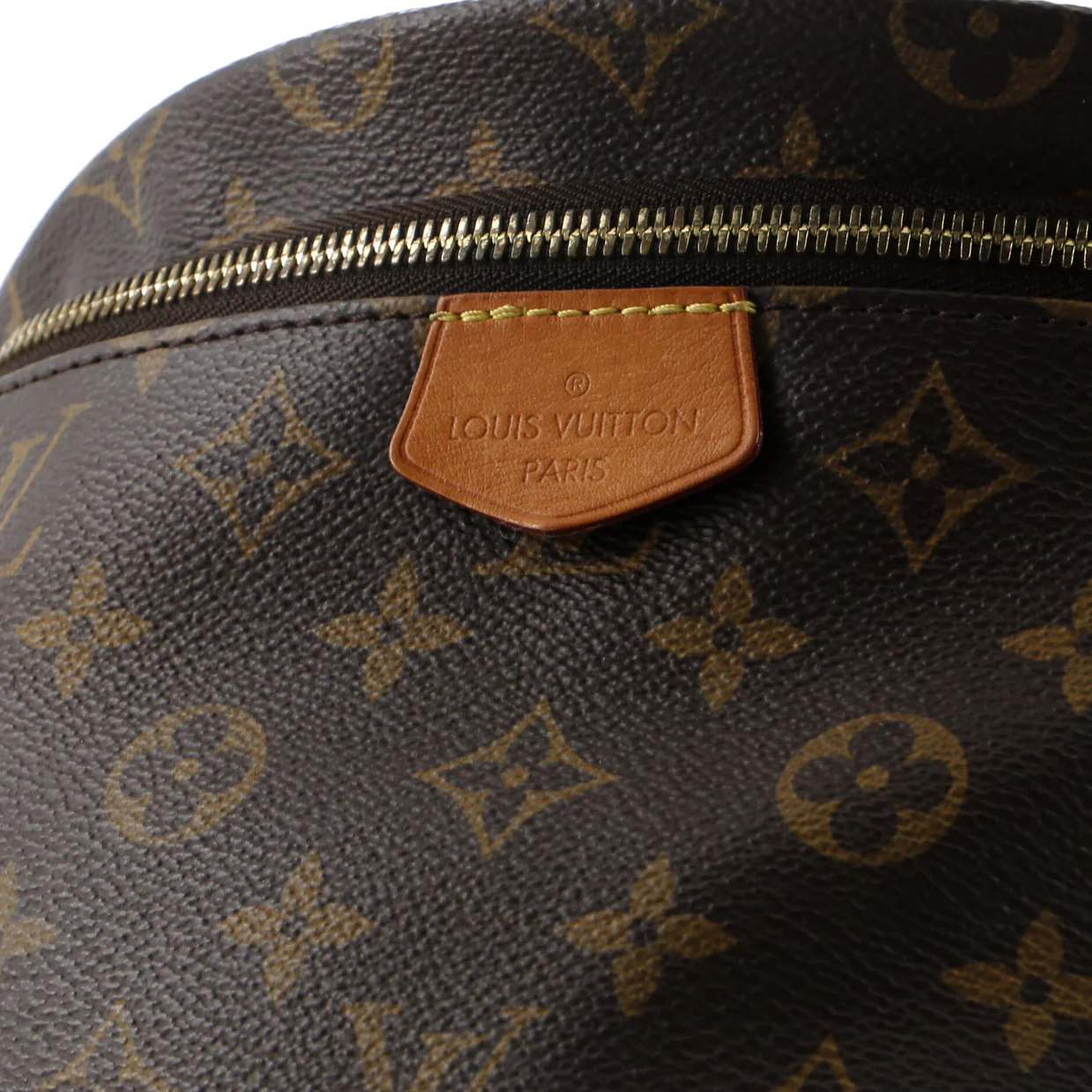 Bum Bag Monogram Canvas - Deep Luxury
