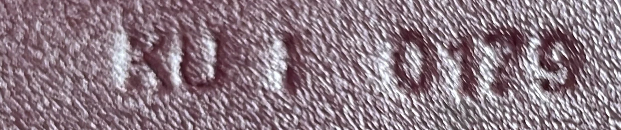 Bond Shopper Tote Canvas Medium - Deep Luxury