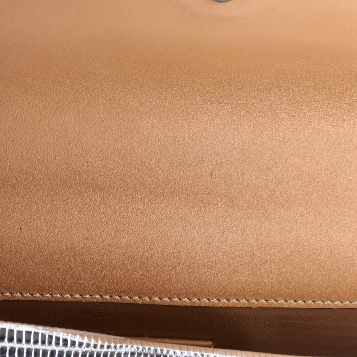 Dionysus Bag Lizard Small - Deep Luxury