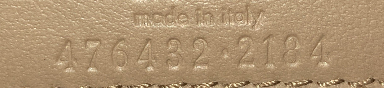 Dionysus Bag GG Coated Canvas Super Mini - Deep Luxury