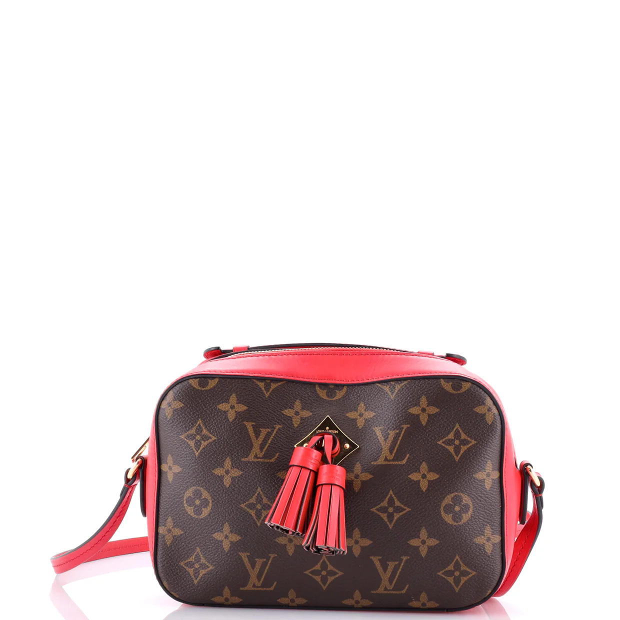 Saintonge Handbag Monogram Canvas with Leather - Deep Luxury