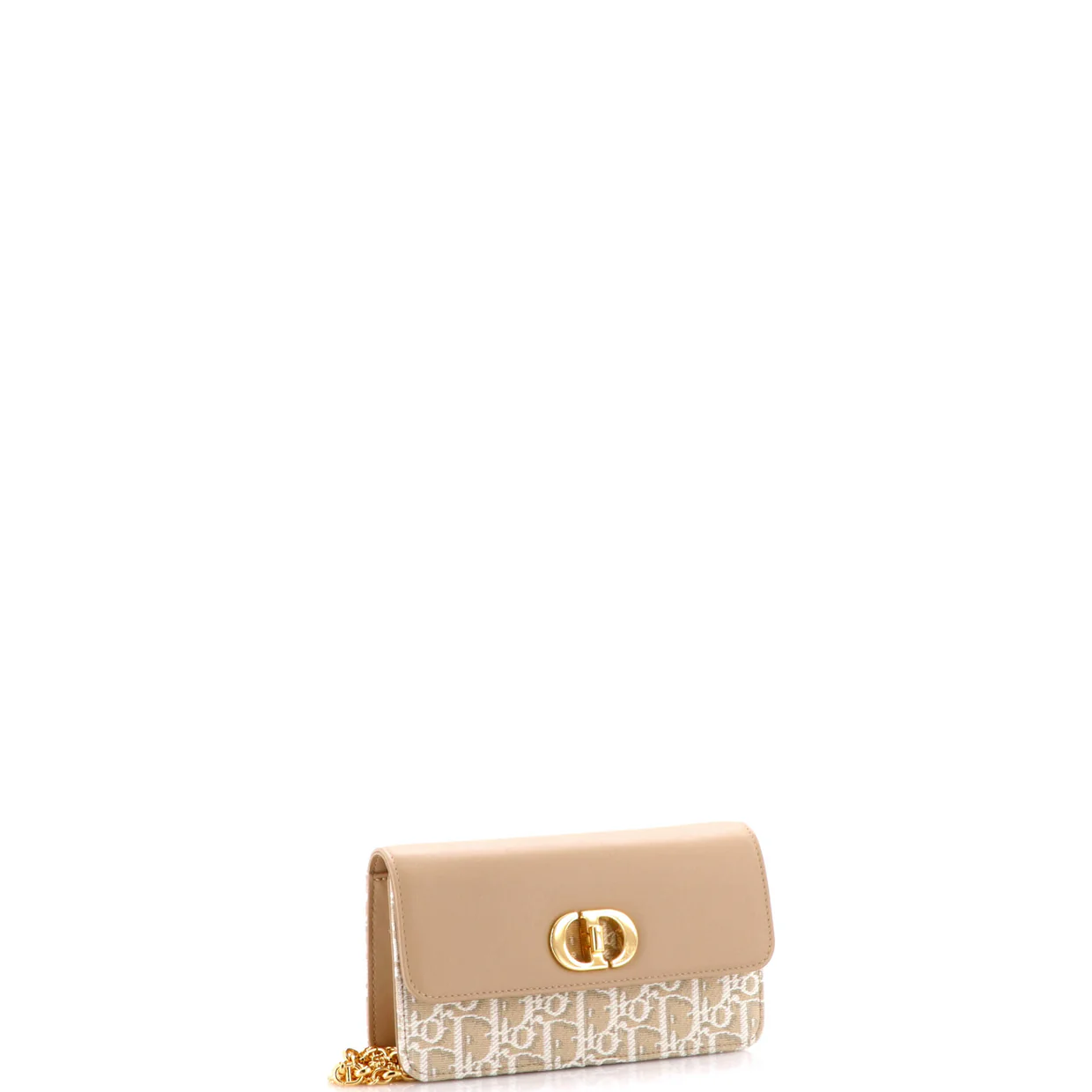 Miss Caro Pouch with Chain Oblique Canvas and Leather - Deep Luxury