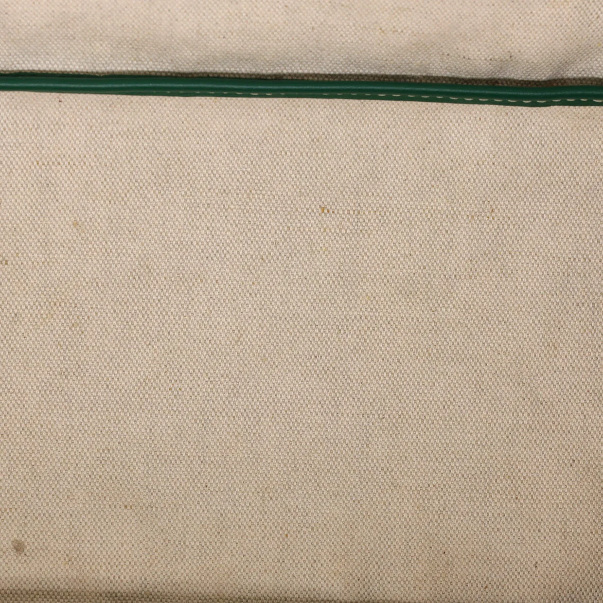 Saint Louis Tote Coated Canvas PM - Deep Luxury