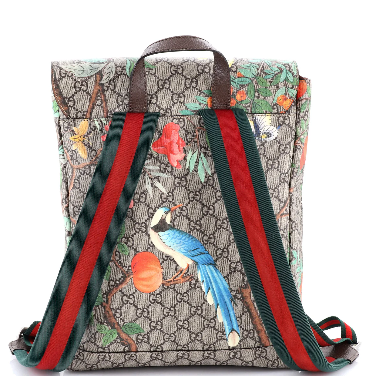 Buckle Backpack Tian Print GG Coated Canvas Medium - Deep Luxury