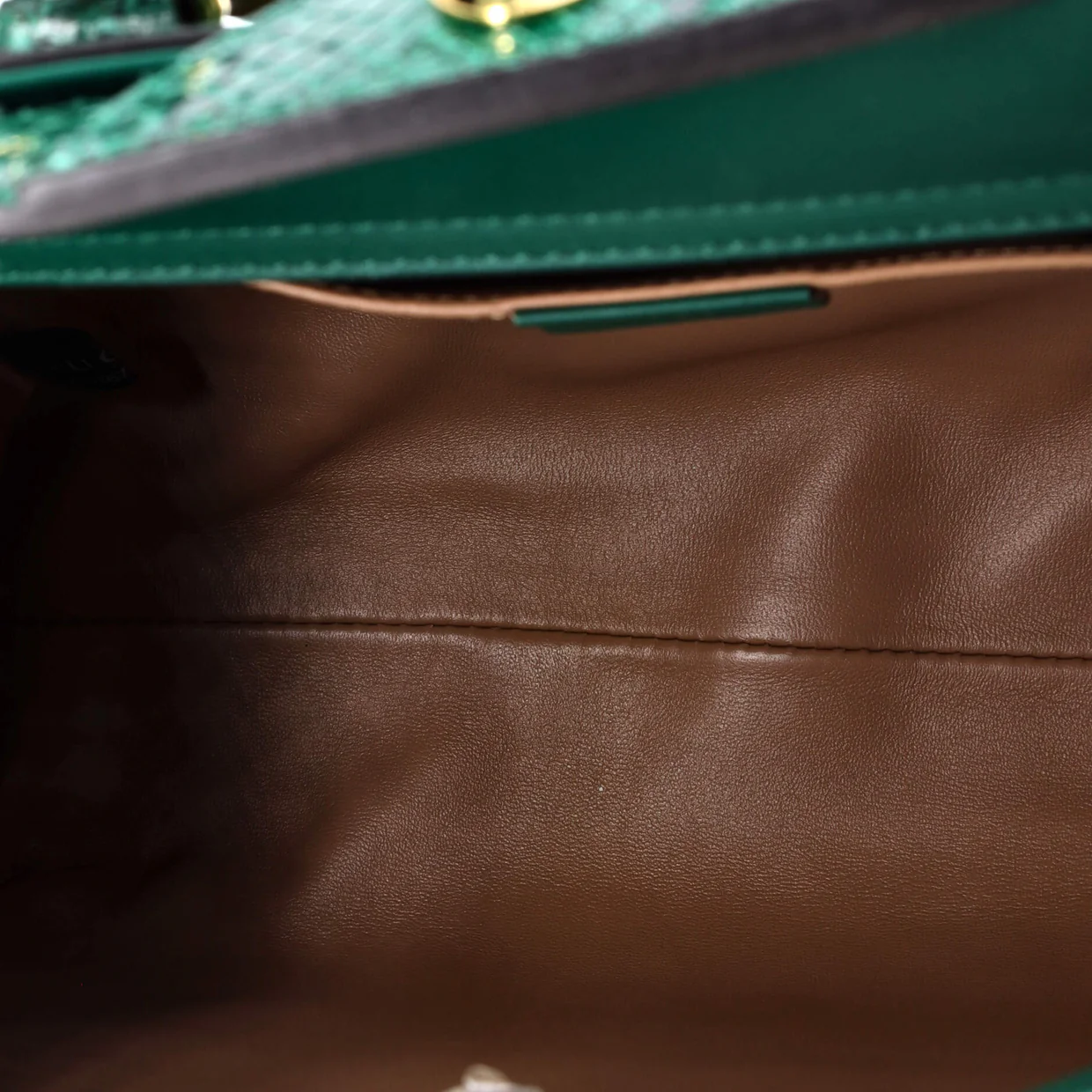 Diana NM Bamboo Handle Tote Python Small - Deep Luxury