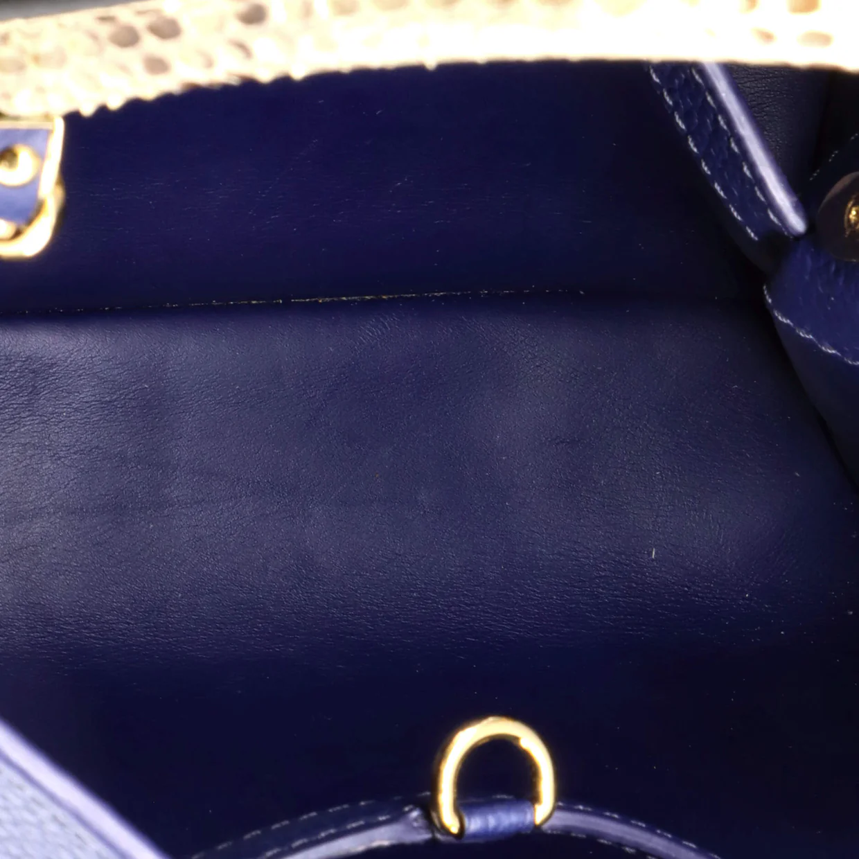 Capucines Bag Leather with Python PM - Deep Luxury