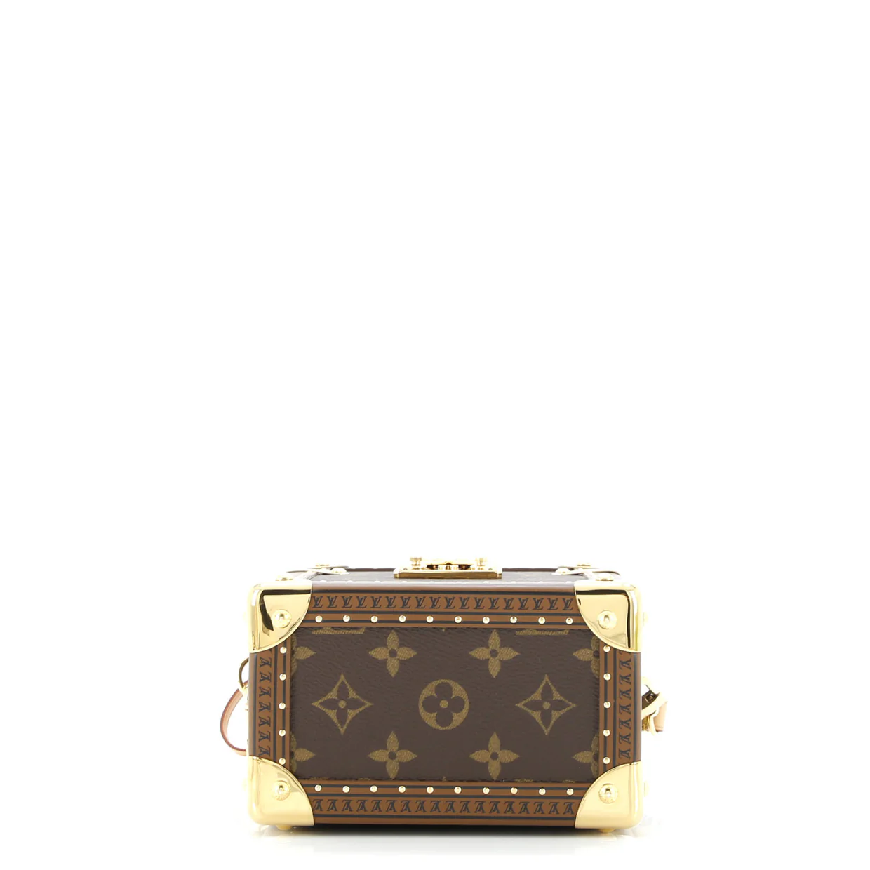 Camera Box Trunk Bag Monogram Canvas - Deep Luxury