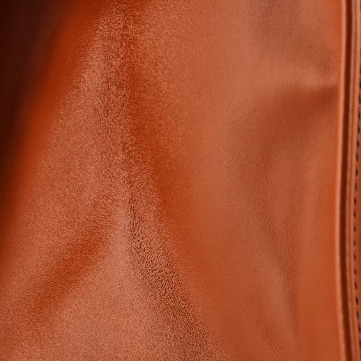 Sunshine Shopper Tote Leather Large - Deep Luxury