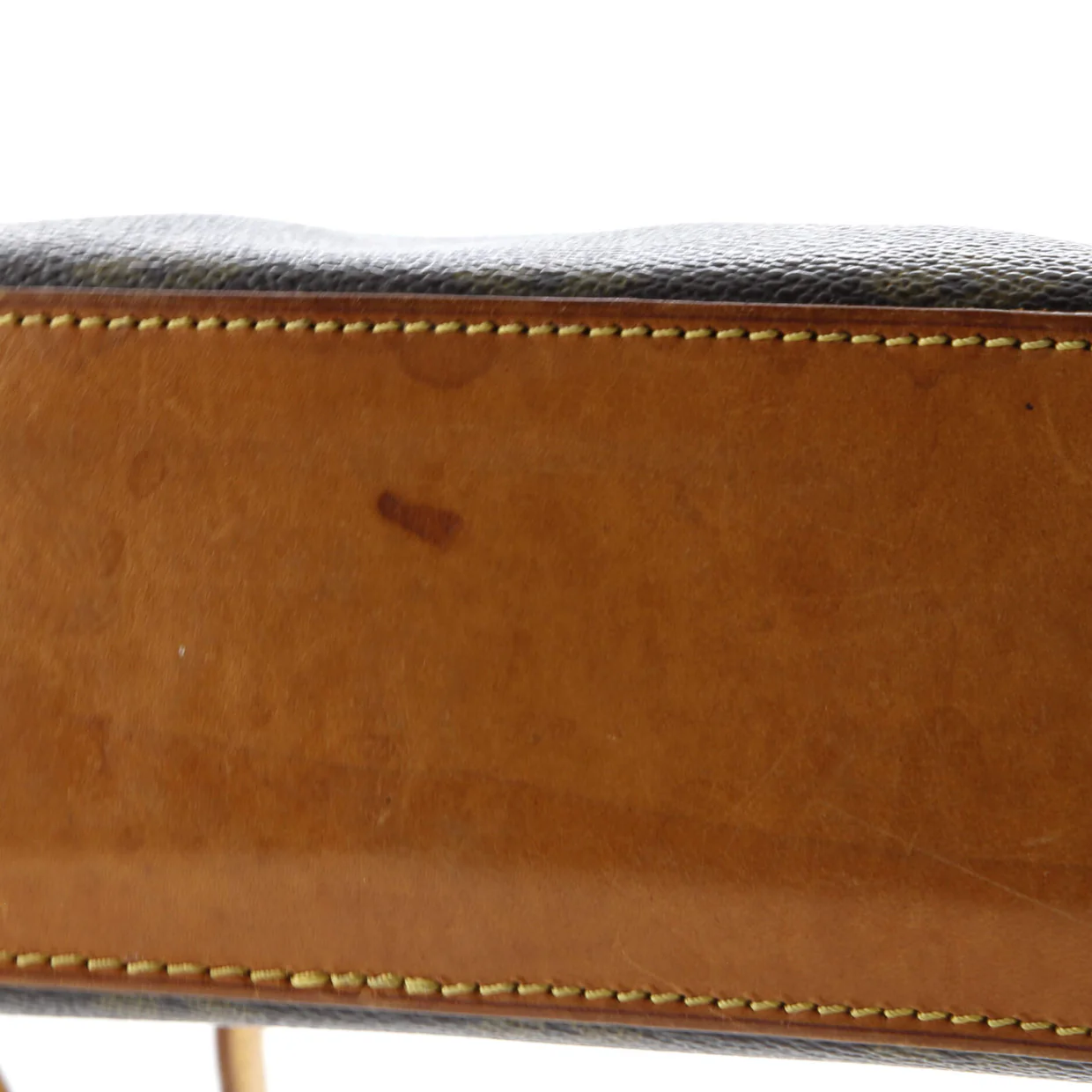 Trotteur Handbag Monogram Canvas - Deep Luxury