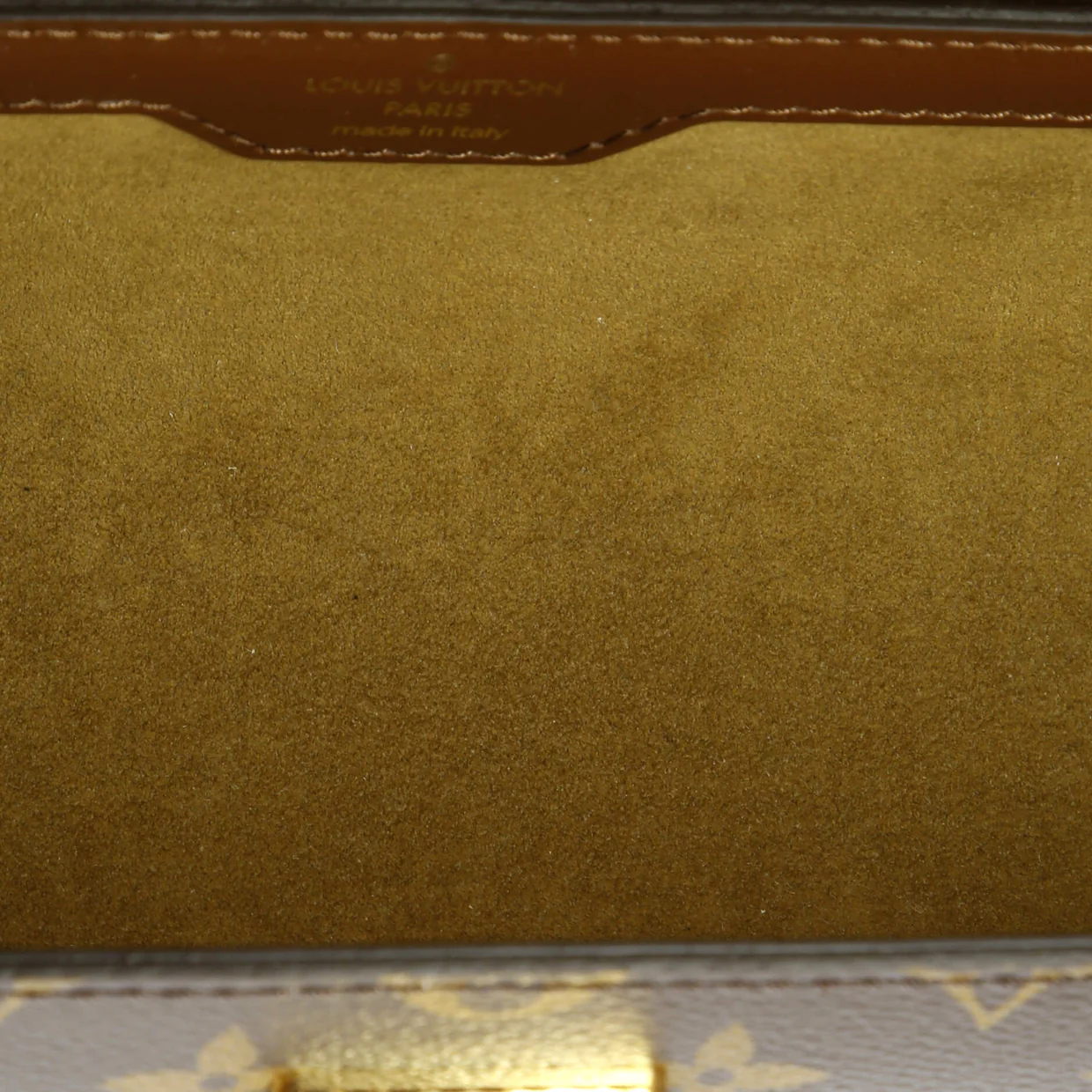 Papillon Trunk Bag Monogram Canvas - Deep Luxury