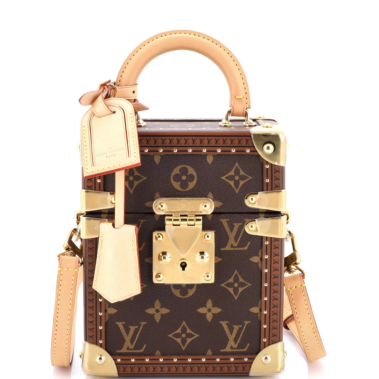 Camera Box Trunk Bag Monogram Canvas - Deep Luxury