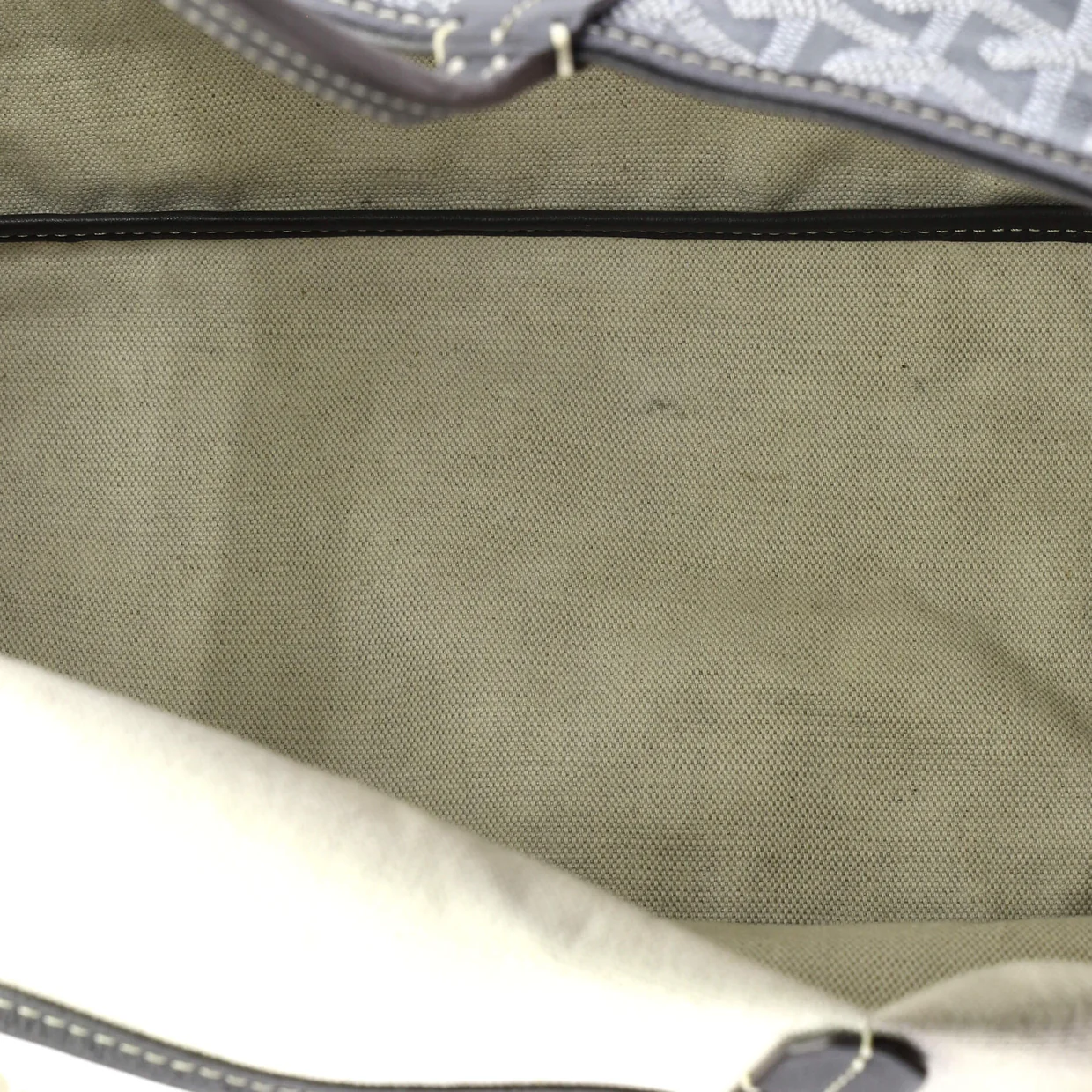 Saint Louis Tote Coated Canvas PM - Deep Luxury