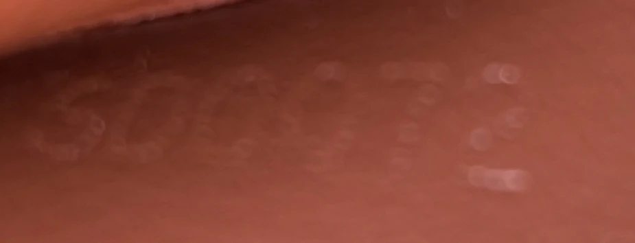 Cite Pochette Monogram Canvas - Deep Luxury