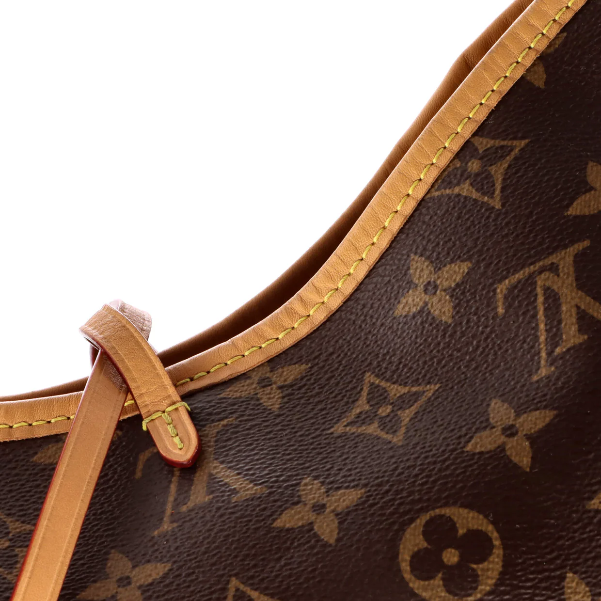 CarryAll Hobo Monogram Canvas PM - Deep Luxury