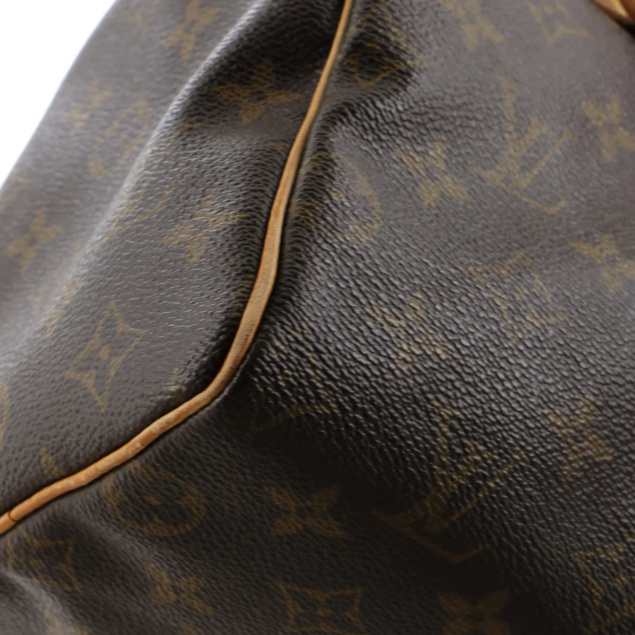 Speedy Handbag Monogram Canvas 25 - Deep Luxury