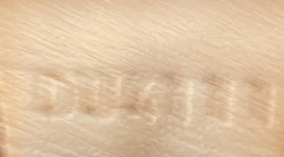 Speedy Bandouliere Bag Monogram Canvas 25 - Deep Luxury