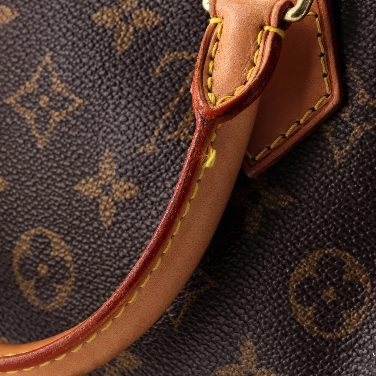 Speedy Handbag Monogram Canvas 30 - Deep Luxury
