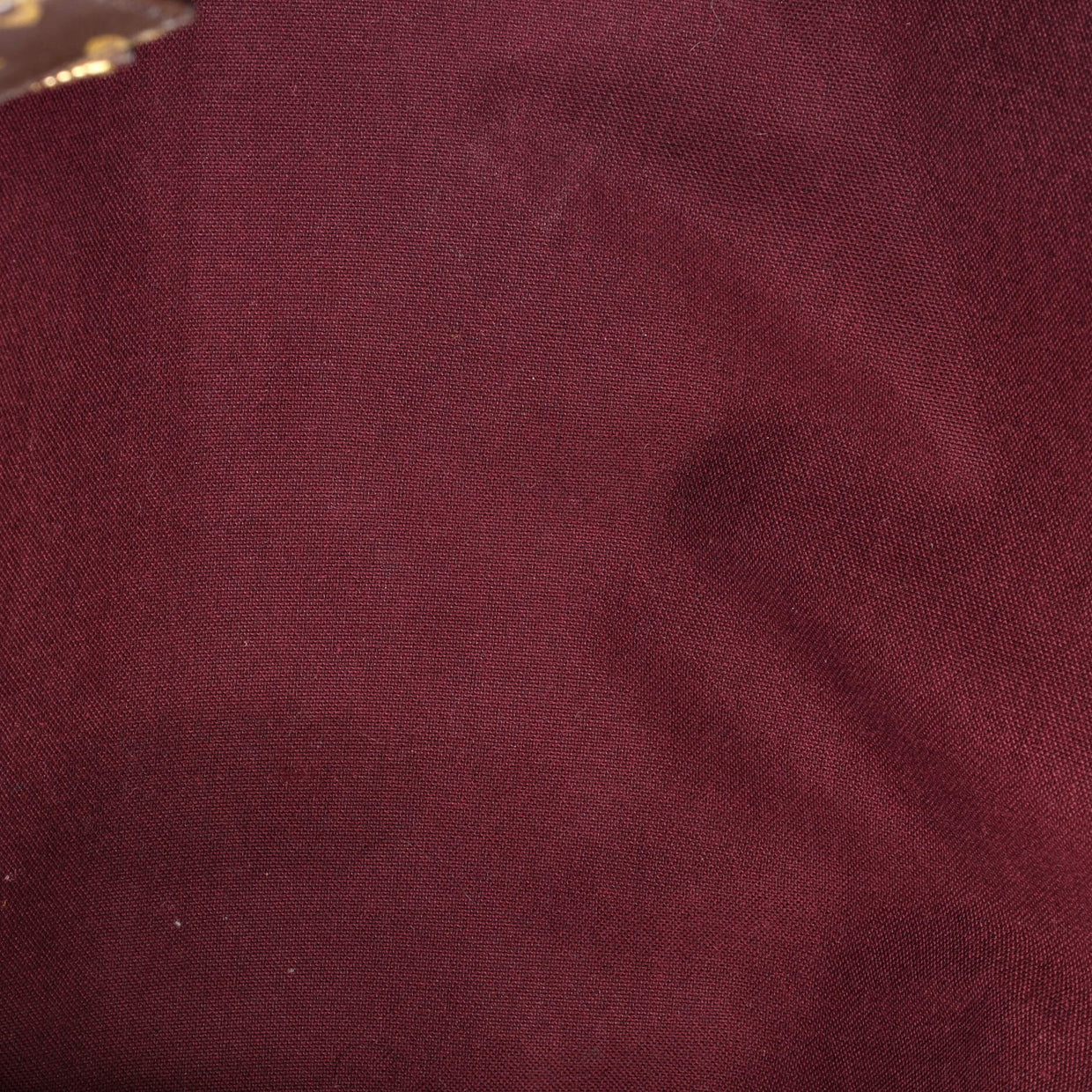 Raspail Tote Monogram Canvas PM - Deep Luxury