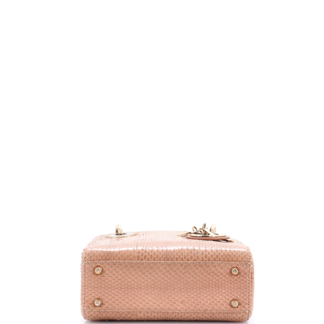 Lady Dior Chain Bag Python Mini - Deep Luxury