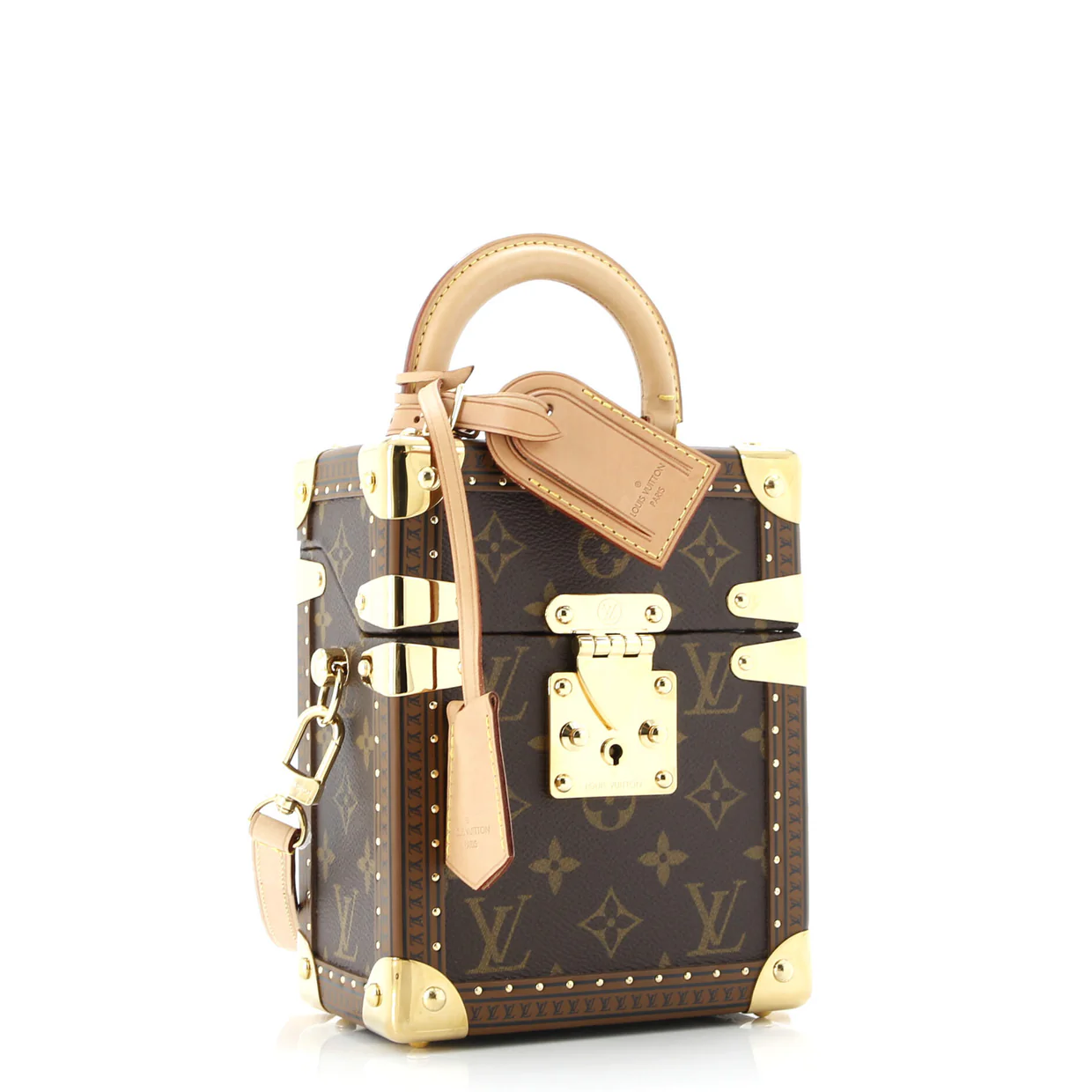 Camera Box Trunk Bag Monogram Canvas - Deep Luxury