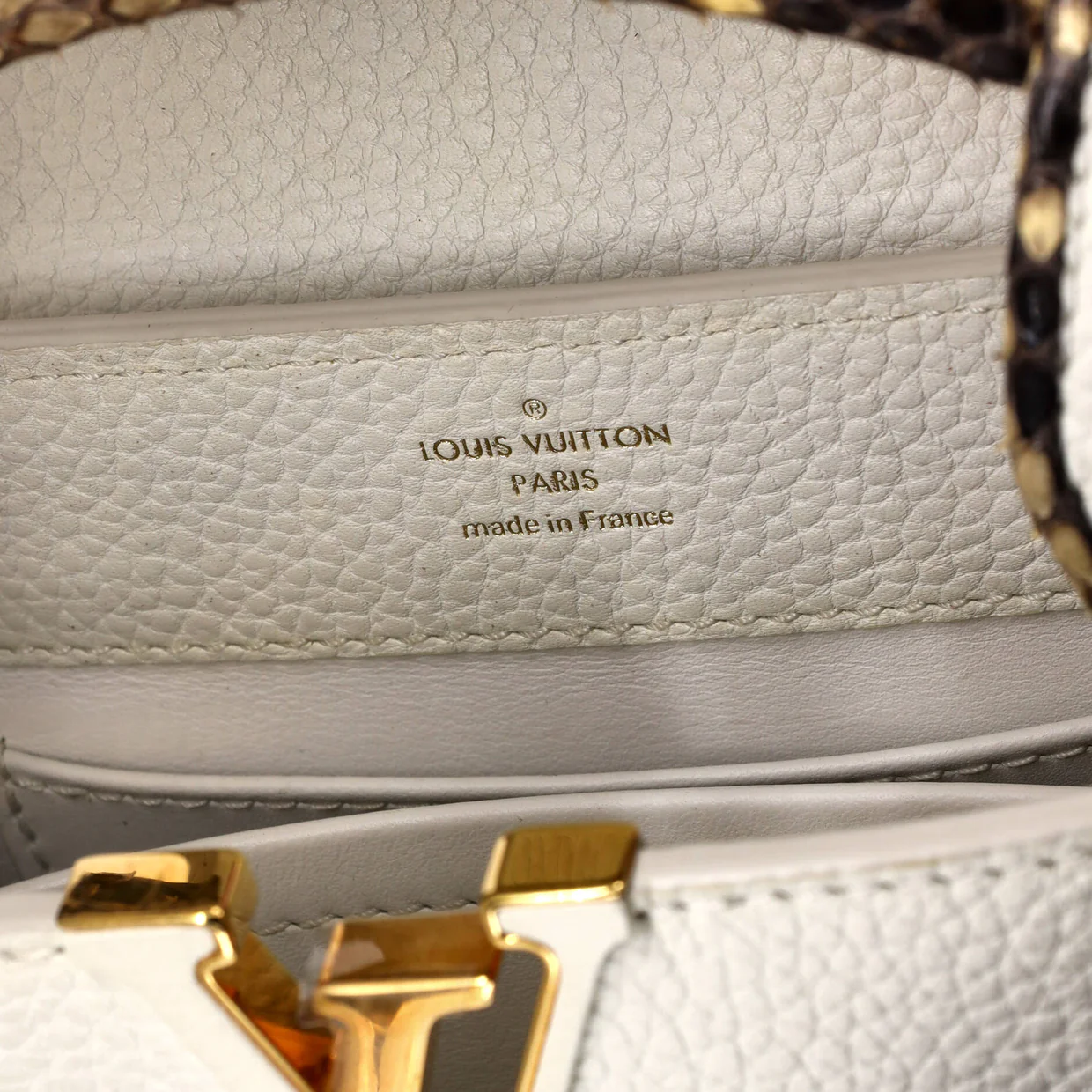 Capucines Bag Leather with Snakeskin Mini - Deep Luxury