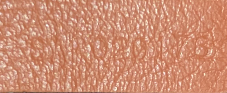 Saint Louis Tote Coated Canvas PM - Deep Luxury