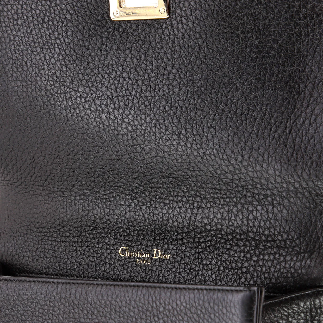 Diorama Flap Bag Grained Calfskin Medium - Deep Luxury