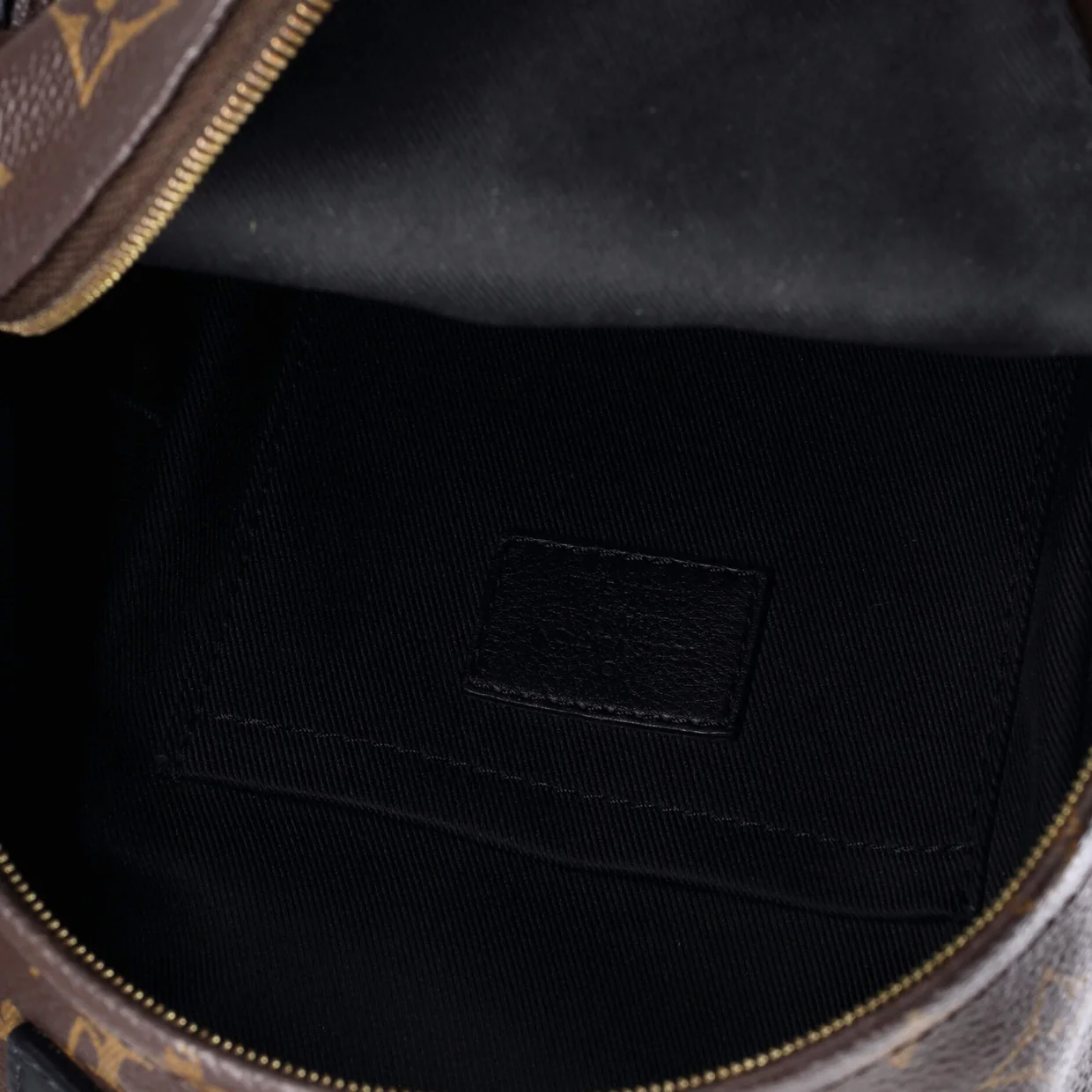 Palm Springs Backpack Monogram Canvas Mini - Deep Luxury