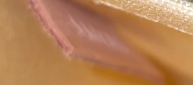 Alma Handbag Monogram Vernis BB - Deep Luxury