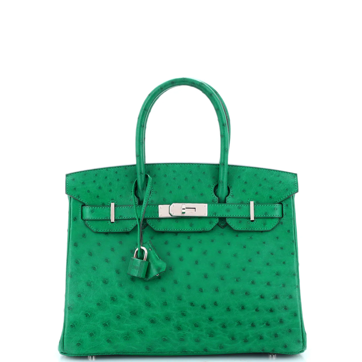 Birkin Handbag Vert Vertigo Ostrich with Palladium Hardware 30 - Deep Luxury
