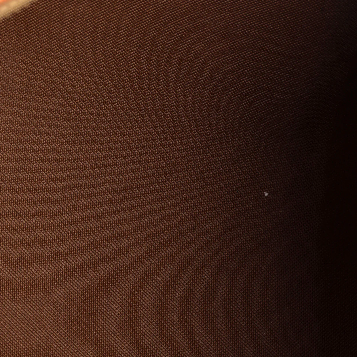 Speedy Handbag Limited Edition Monogram Roses 30 - Deep Luxury