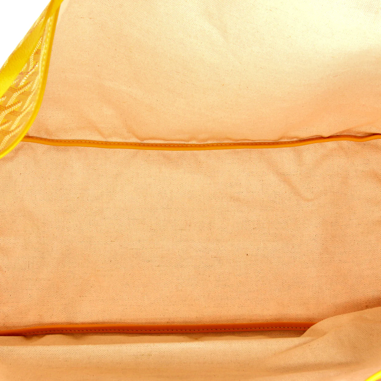 Saint Louis Tote Printed Coated Canvas GM - Deep Luxury