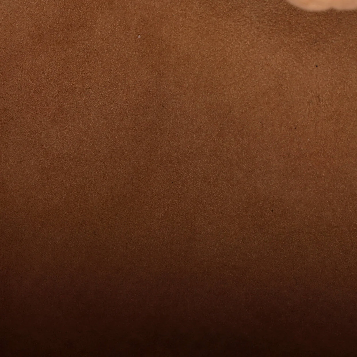 Speedy Bandouliere Bag Limited Edition Monogram Eden 30 - Deep Luxury