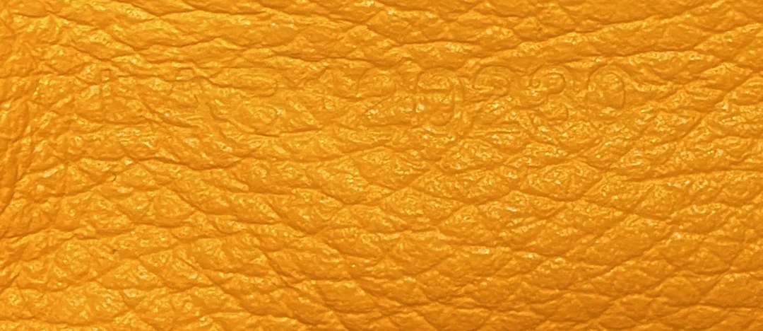 Saigon Top Handle Bag Coated Canvas with Leather Mini - Deep Luxury