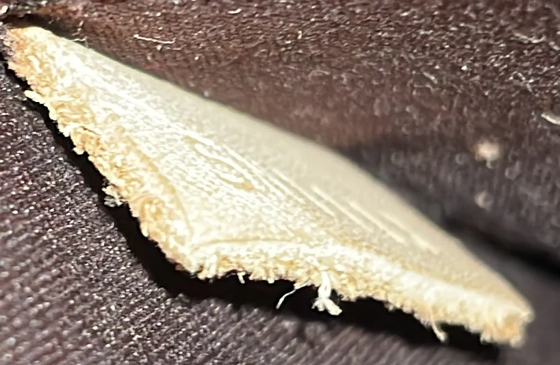 Alma Handbag Monogram Vernis PM - Deep Luxury