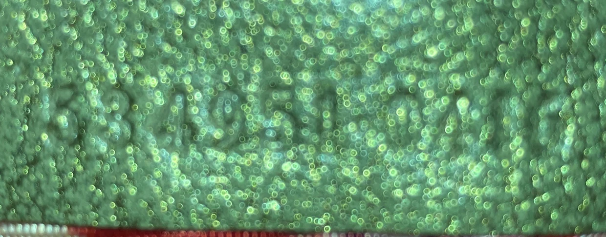 Trapuntata Camera Shoulder Bag Quilted Laminated Leather Mini - Deep Luxury