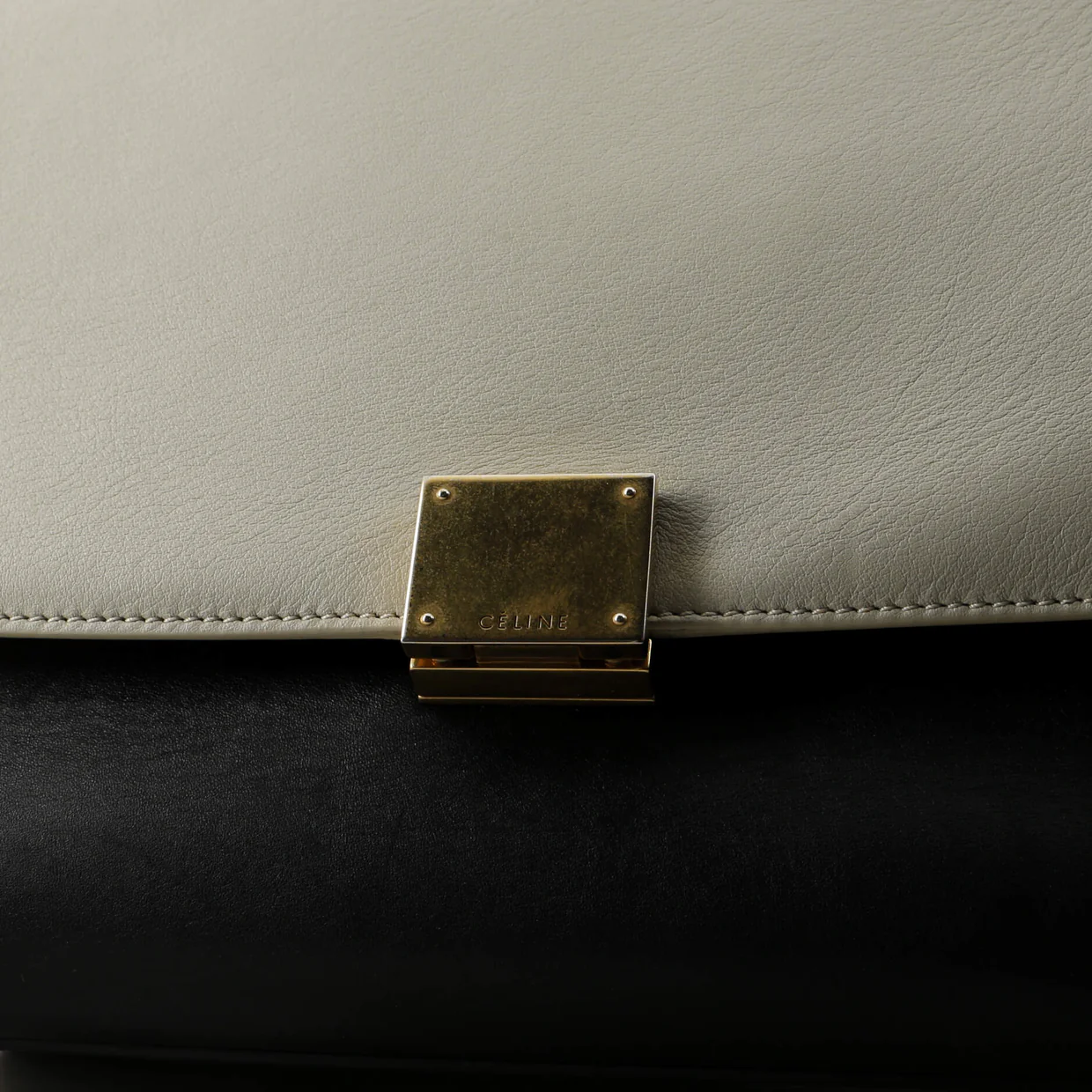 Trapeze Bag Leather with Canvas Medium - Deep Luxury